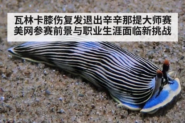 瓦林卡膝伤复发退出辛辛那提大师赛 美网参赛前景与职业生涯面临新挑战