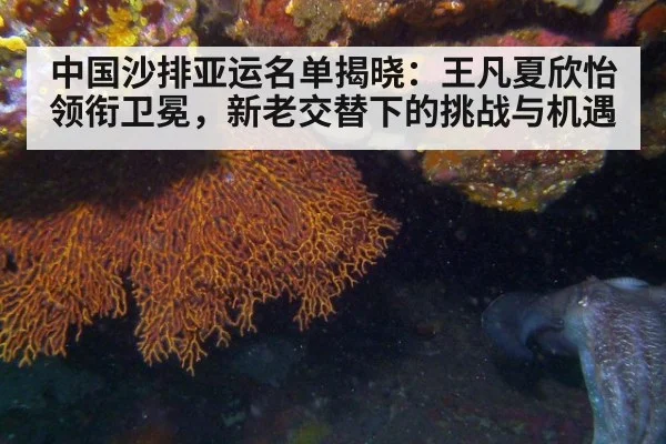 中国沙排亚运名单揭晓：王凡夏欣怡领衔卫冕，新老交替下的挑战与机遇