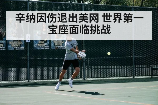 辛纳因伤退出美网 世界第一宝座面临挑战